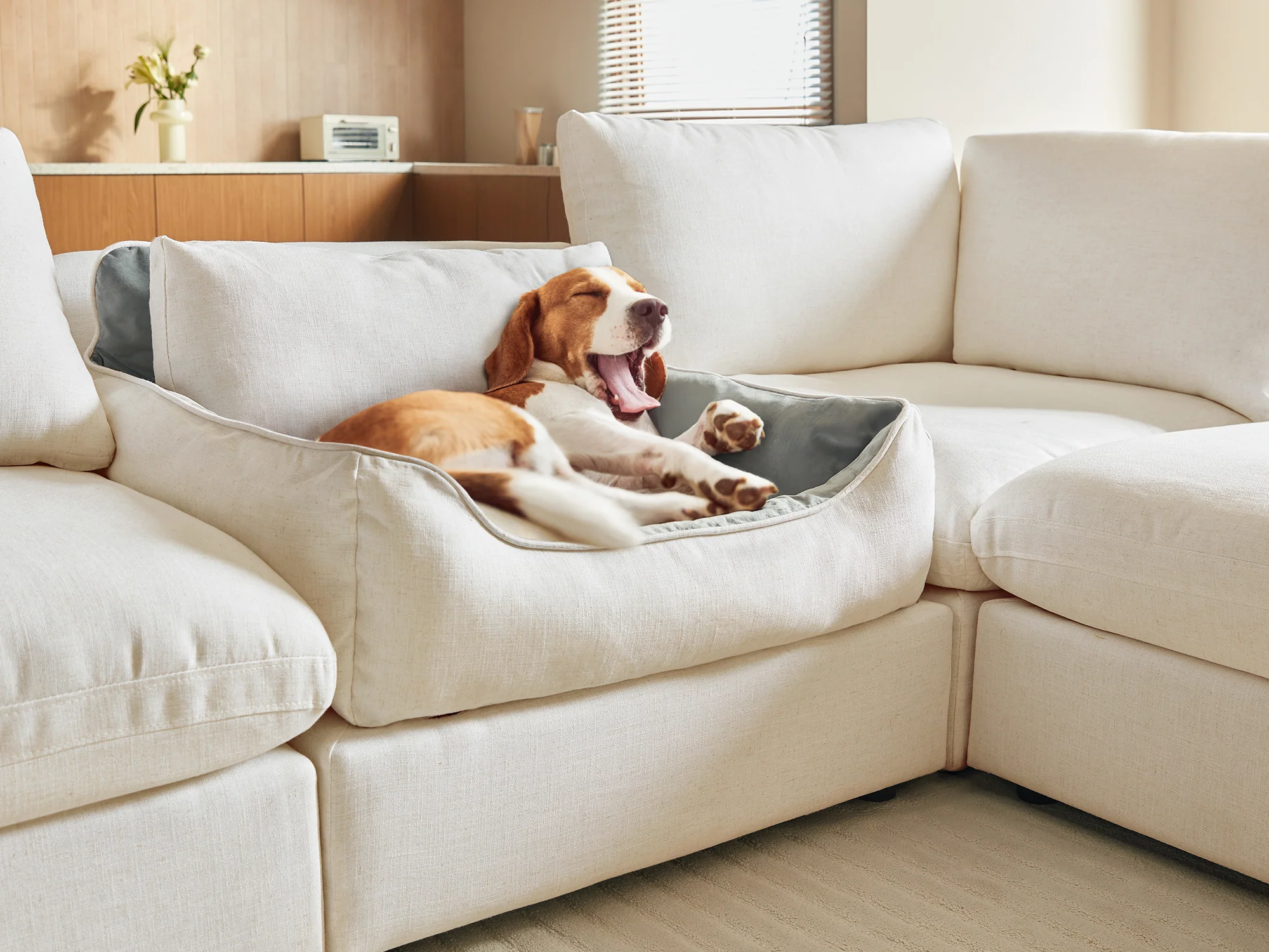 RUBIK V Pet Bed Module - Image 5